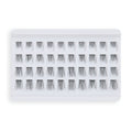 BH Los Angeles Natural Individual Lashes Cluster Queen